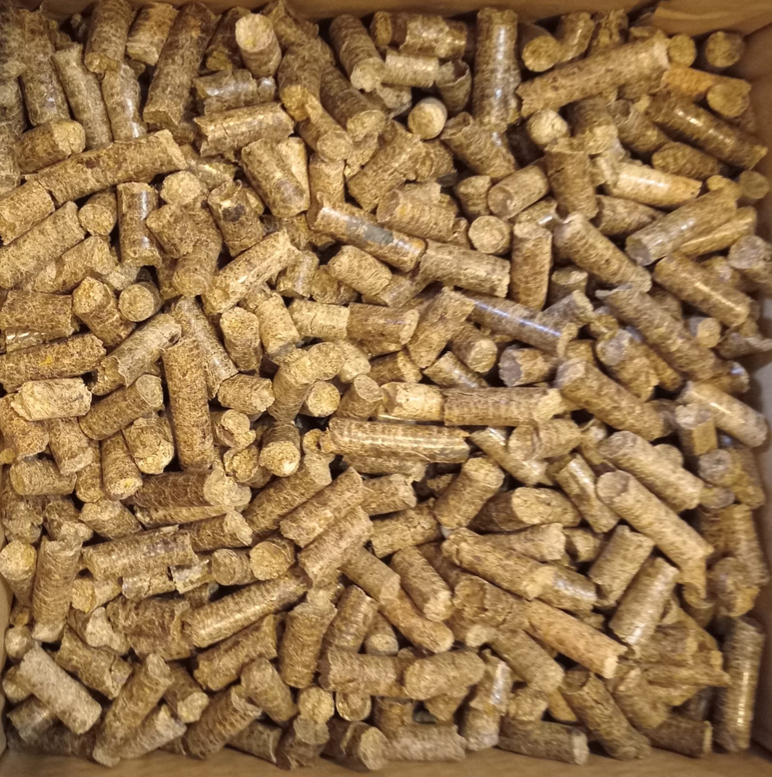 Wood Pellet Biomass